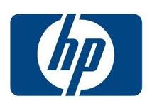 HP 300GB FC 1 10K (364622-B22)